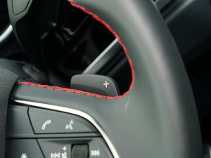 202340 TFSI RS׼ȼ п؅^