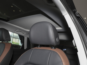 202335 TFSI r(sh)(1.5T) g