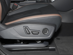 202335 TFSI r(sh)(1.5T) g