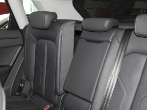 202335 TFSI r(sh)(1.5T) g