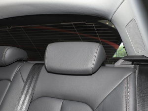 202335 TFSI r(sh)(1.5T) g