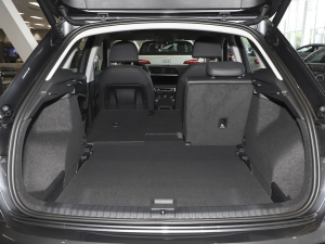 202335 TFSI r(sh)(1.5T) g