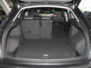 202335 TFSI r(sh)(1.5T) g