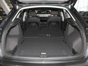 202335 TFSI r(1.5T) g