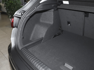 202335 TFSI r(1.5T) g