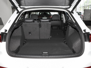 202335 TFSI MȡӸ(1.5T) g