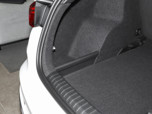 202335 TFSI MȡӸ(1.5T) g