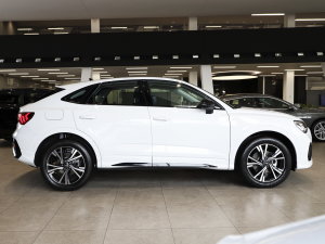 202340 TFSI r(sh) (c)ң