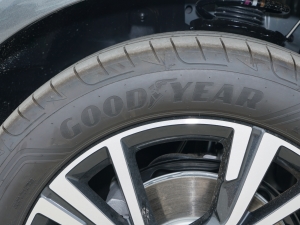 2023Ŀ 40 TFSI r ݆̥Ʒ