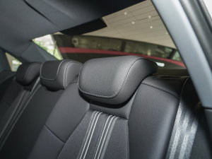 2023Ŀ A3L Limousine 35 TFSI r\ g