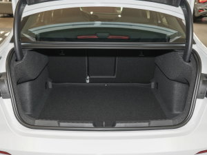 2023Ŀ A3L Limousine 35 TFSI r\ g