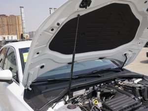 2023Sportback 35 TFSI M(jn)ȡ 