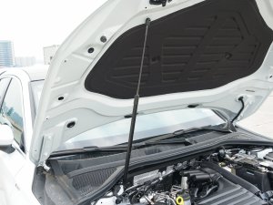 2023Ŀ Sportback 35 TFSI r\ 