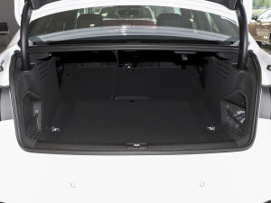 202340 TFSI A(dng)  g