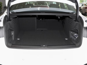 202340 TFSI A(dng)  g