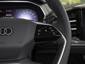 202340 e-tron (chung)ҹ п؅^(q)