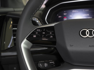 202340 e-tron (chung)ҹ п؅^(q)