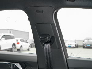 202445 TFSI quattro rЄӸ g