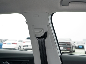 202435TFSI M(jn)ȡ(dng) g