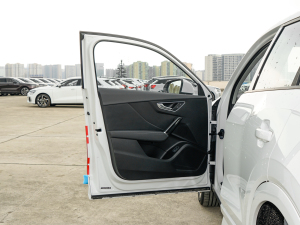 2024款35 TFSI 时尚动感型 驾驶位车门