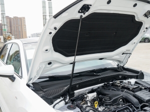 2024款35 TFSI 时尚动感型 其它