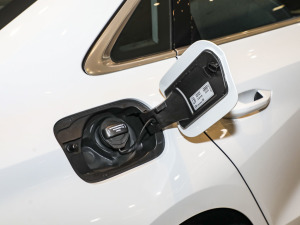 2025Sportback 35TFSI r S line ^