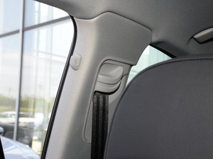 201630 TFSI L(fng) g