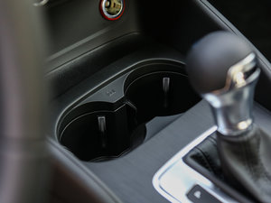 201635 TFSII(lng)Ӣ g