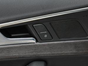 2017Plus 40 TFSI L g