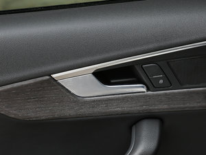 2017Plus 40 TFSI L g