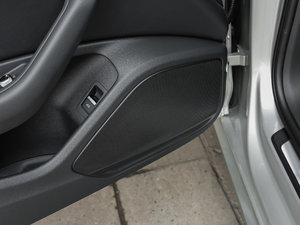 2017Plus 40 TFSI L g