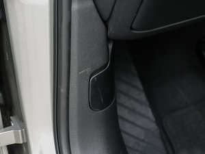 2017Plus 40 TFSI L g