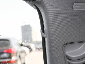 2017Plus 40 TFSI r g