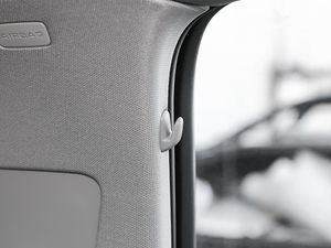 2017Plus 40 TFSI r g