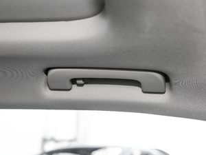 2017Plus 40 TFSI r g