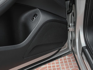 2017Plus 40 TFSI g g