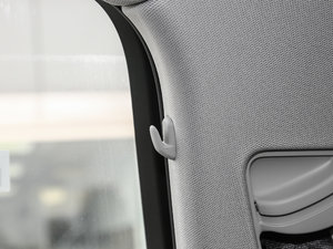 2017Plus 40 TFSI g(sh) g