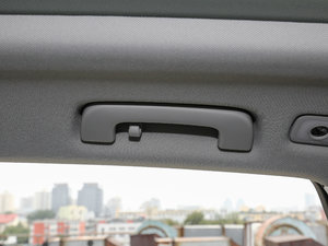 2017Plus 40 TFSI g(sh) g