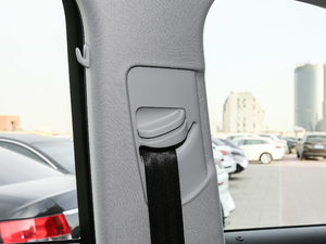 2017Plus 40 TFSI M(jn)ȡ g