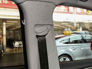 2017Plus 40 TFSI m g