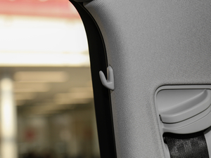 2017Plus 40 TFSI m g