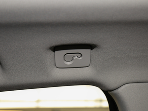 2017Plus 40 TFSI m g