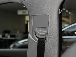 201830 Limousine 35 TFSI\(yn)(dng) g