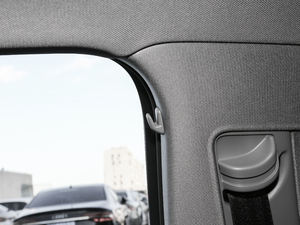 201830 Limousine 40 TFSIL g