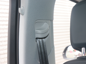 201845 TFSI L(fng) (gu)V g