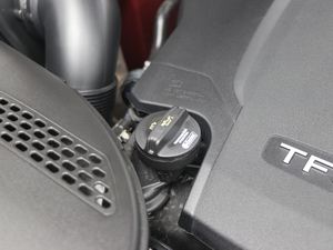 201845 TFSI L(fng) (gu)V 