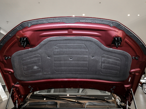 201845 TFSI r(sh) (gu)V 