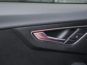 201935TFSI rЄӸ V g