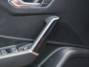 201935TFSI rЄӸ V g