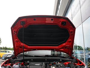 2019款35TFSI 上市专享版 国V 其它